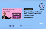 Display Builder for Drupal Adds Component-Driven Entity Display Management