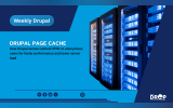 Cover poster with a server with text: 'How Drupal serves cached HTML to anonymous users for faster performance and lower server load'