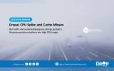 Poster for Blog Post on Drupal Performance Optimization 