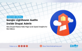 Poster for Page Performance Insights Module 