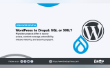 A wide Discover Drupal graphic places the WordPress and Drupal logos beside a summary of factors that shape a migration approach. Text reads "DISCOVER DRUPAL. WordPress to Drupal. SQL or XML. Migration projects differ in source access content coverage extensibility release maturity and security support. Follow us on. LinkedIn. Facebook. Reddit. X. https www.thedroptimes.com. THE DROP TIMES."