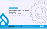Drupal release graphic with a large blue Drupal logo on the left and an outlined gear and wrench on the right. Text reads "DISCOVER DRUPAL" "Drupal Core Gets Two Patch Releases" "11.4.5 Fixes Views AJAX Error" "10.6.15 Updates the Drupal 10 Branch" "Follow us on" "https://www.thedroptimes.com/" and "THE DROP TIMES".