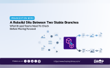 "ORGANIZATION NEWS. A Rebuild Sits Between Two Stable Branches. What Drupal Teams Need To Check Before Moving Forward." A central purple rebuild symbol connects a web of existing content on the left to two separate stable content branches on the right to represent the upgrade path and the checks needed before proceeding.