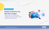 Graphic with photos and a magnifying glass connected to the Gemini symbol. Text reads "Discover Drupal. Drupal AI Search Can Now See Images. Gemini Provider 1.1.0 adds image embeddings for semantic search visual retrieval and RAG workflows."